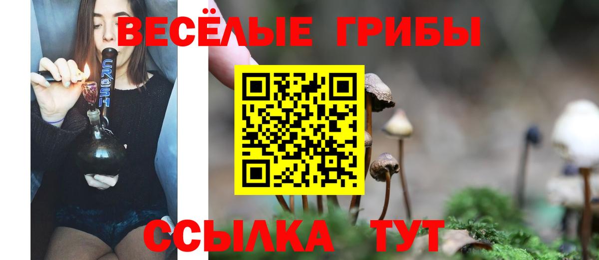 Лесосибирск  Меф МЯУ МЯУ кристаллы  ГАШИШ  APVP СК   Вход с VPN  МДМА  КОКАИН  Бошки Шишки  Купить наркотик 